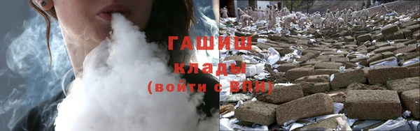 гидра Абаза