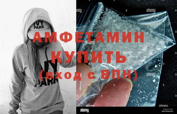 индика Михайловск