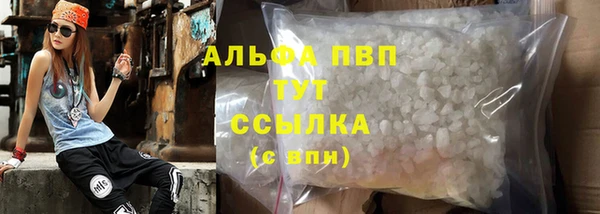 гидра Абаза