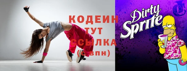 индика Михайловск