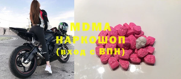 индика Михайловск