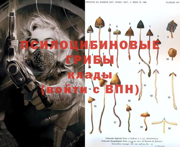 не бодяженный Михайлов