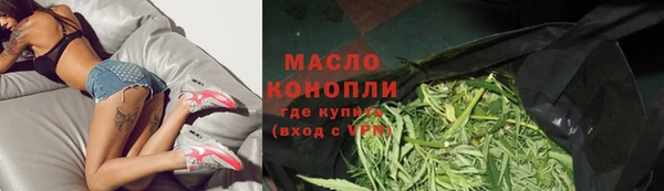 гидра Абаза