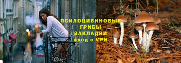 гидра Абаза