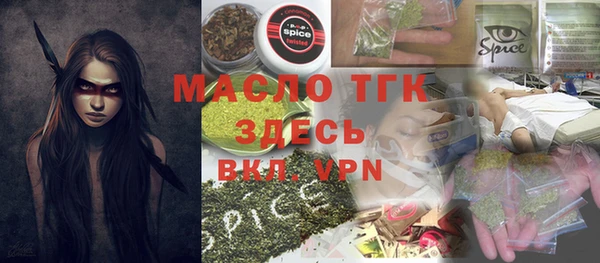 индика Михайловск