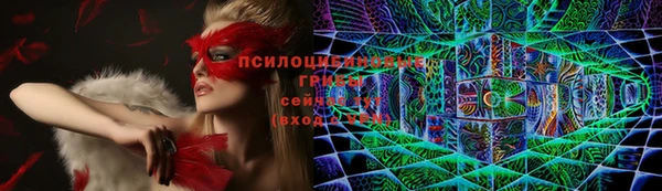 гидра Абаза