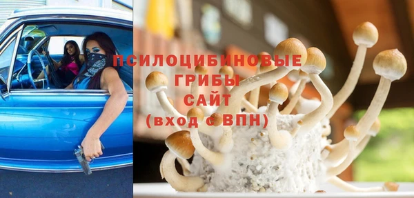индика Михайловск