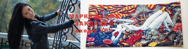 спиды Михайловка