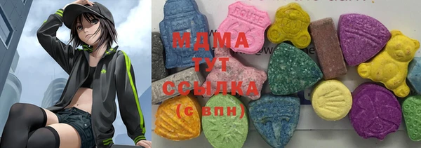 индика Михайловск