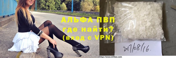индика Михайловск